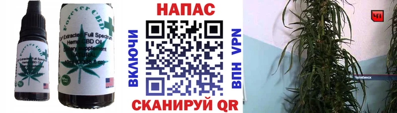 Cannafood конопля  купить закладку  Ипатово 