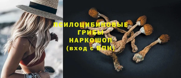 Альфа ПВП Нея