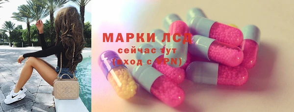 хмурый Аркадак