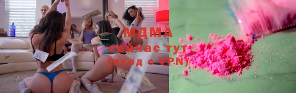 хмурый Аркадак