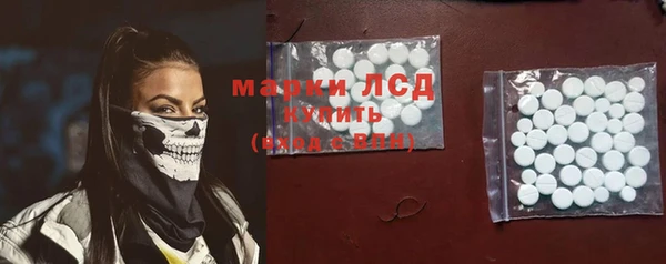 хмурый Аркадак