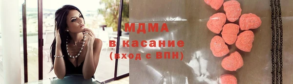 хмурый Аркадак