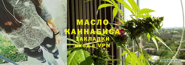 хмурый Аркадак