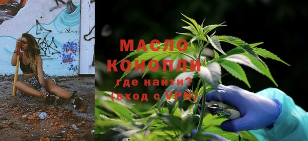 хмурый Аркадак