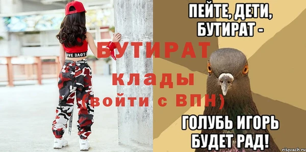 хмурый Аркадак