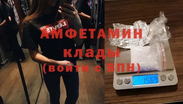 хмурый Аркадак