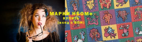 хмурый Аркадак