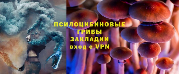 хмурый Аркадак
